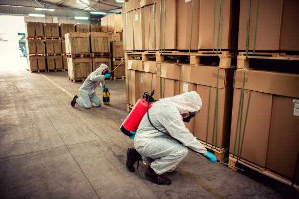 Best Flea Control Services  in Selinsgrove, PA