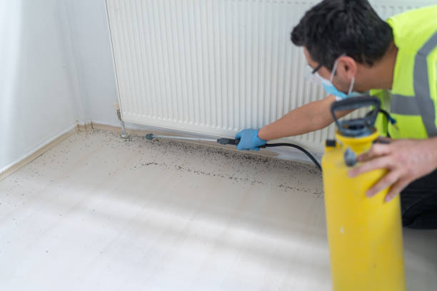 Best Commercial Pest Control Services  in Selinsgrove, PA