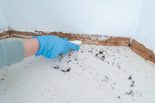 Reliable Selinsgrove, PA Pest Control Solutions