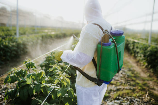 Professional Pest Control in Selinsgrove, PA